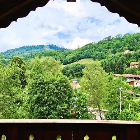 De Montagne A La Bresse, Proche Des Pistes De Et Des Lacs * La Bresse