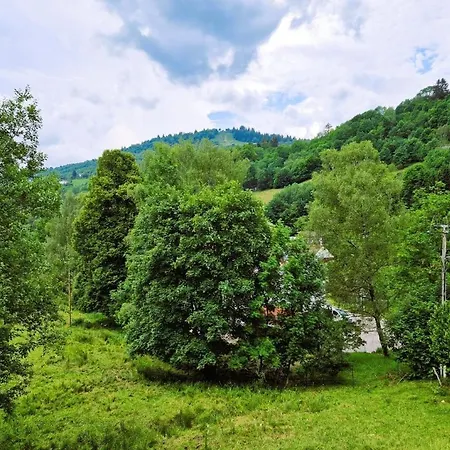 De Montagne A La Bresse, Proche Des Pistes De Et Des Lacs
